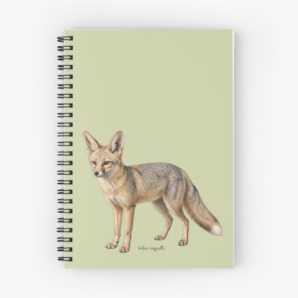 Item preview, Thermal Phantom: Vintage Vulpes Rueppellii Zoological Print designed and sold by FreiherrPK.