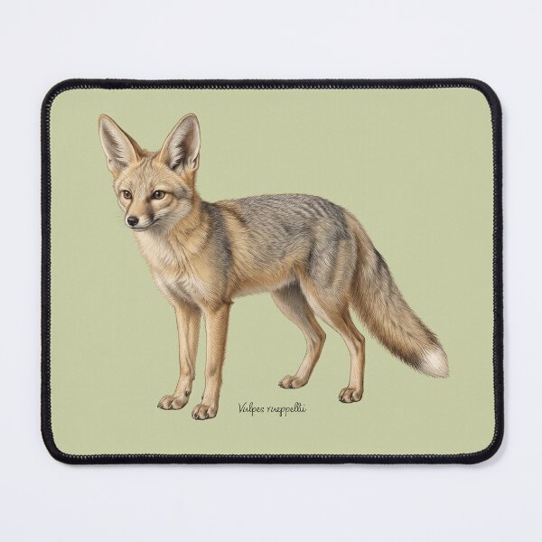 Item preview, Thermal Phantom: Vintage Vulpes Rueppellii Zoological Print designed and sold by FreiherrPK.