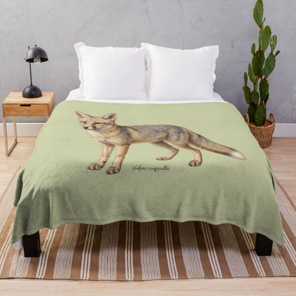 Item preview, Thermal Phantom: Vintage Vulpes Rueppellii Zoological Print designed and sold by FreiherrPK.