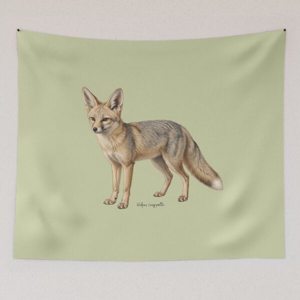 Item preview, Thermal Phantom: Vintage Vulpes Rueppellii Zoological Print designed and sold by FreiherrPK.