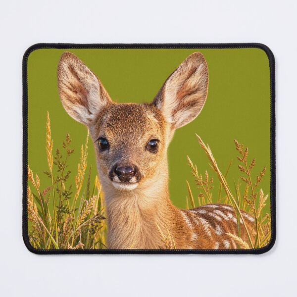 Item preview, Gentle Roe Deer Fawn in Golden Meadow Grass designed and sold by Medve Photography & Design.