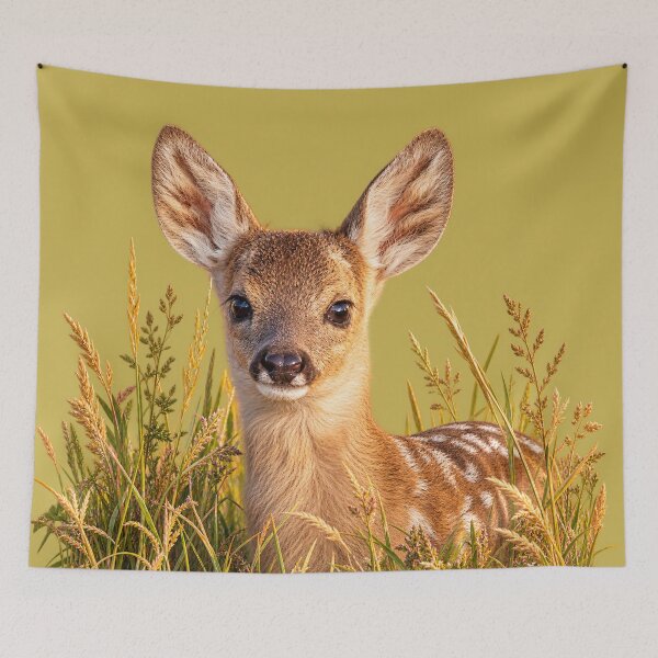 Item preview, Gentle Roe Deer Fawn in Golden Meadow Grass designed and sold by Medve Photography & Design.