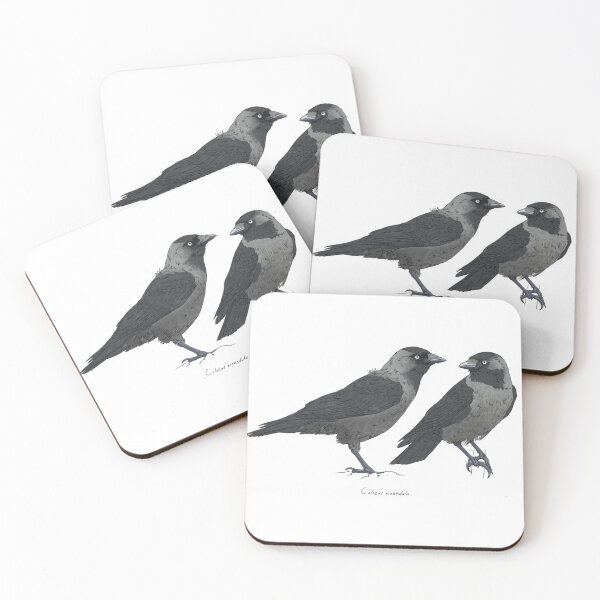 Item preview, Western Jackdaw designed and sold by Luzeilustración.