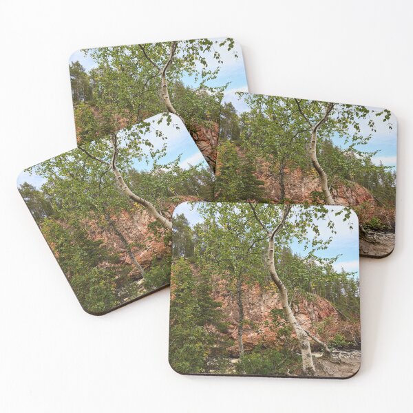 Item preview, The Birch. Kiutakongas 3 2026 designed and sold by Jouko Lehto Photography.