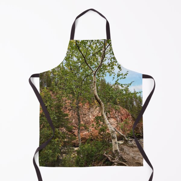 Item preview, The Birch. Kiutakongas 3 2026 designed and sold by Jouko Lehto Photography.