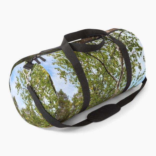 Item preview, The Birch. Kiutakongas 3 2026 designed and sold by Jouko Lehto Photography.