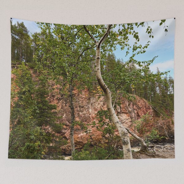 Item preview, The Birch. Kiutakongas 3 2026 designed and sold by Jouko Lehto Photography.