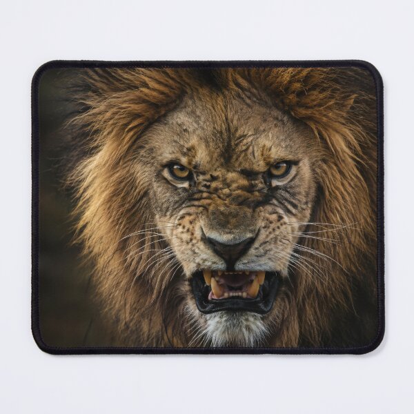 Item preview, Aggressive Angry Lion – Fierce Roaring King of the Jungle designed and sold by LazyOwlStore.