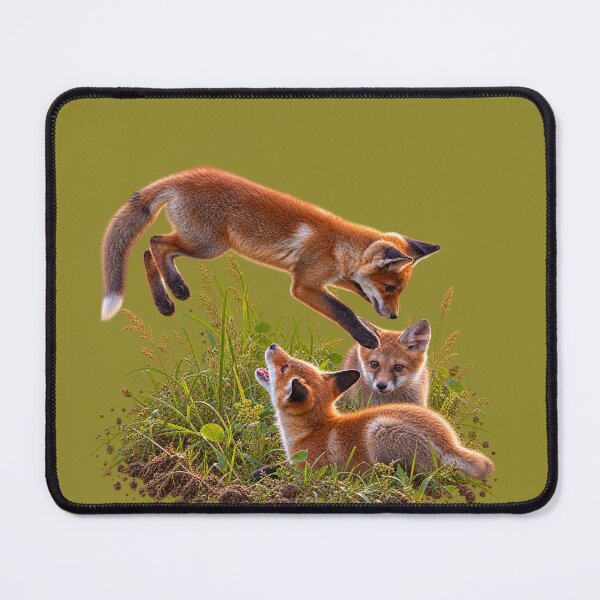 Item preview, Three Playful Fox Kits in Meadow Grass designed and sold by Medve Photography & Design.
