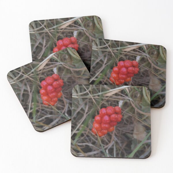 Item preview, Foto promedio de FlocreeperBytin en la naturaleza designed and sold by FlocreeperBytin.