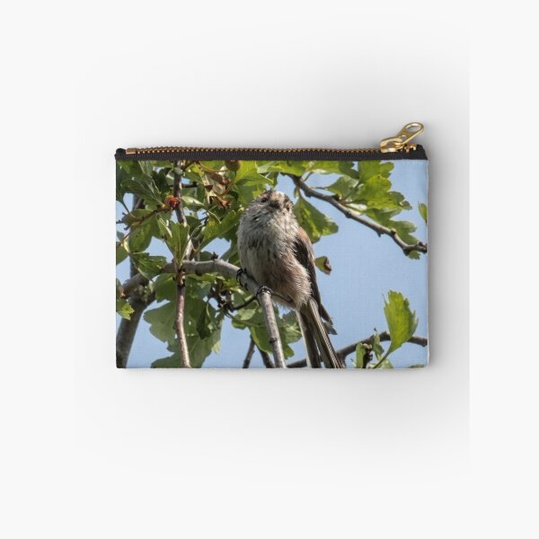 Item preview, Inquisitive Long-Tailed Tit Among the Hawthorn designed and sold by Astute-Artio-Photography.