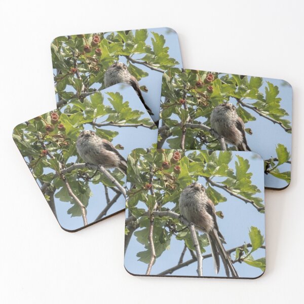 Item preview, Inquisitive Long-Tailed Tit Among the Hawthorn designed and sold by Astute-Artio-Photography.