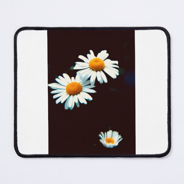 Item preview, Three Daisies designed and sold by ROSENDE ART HOUSE.