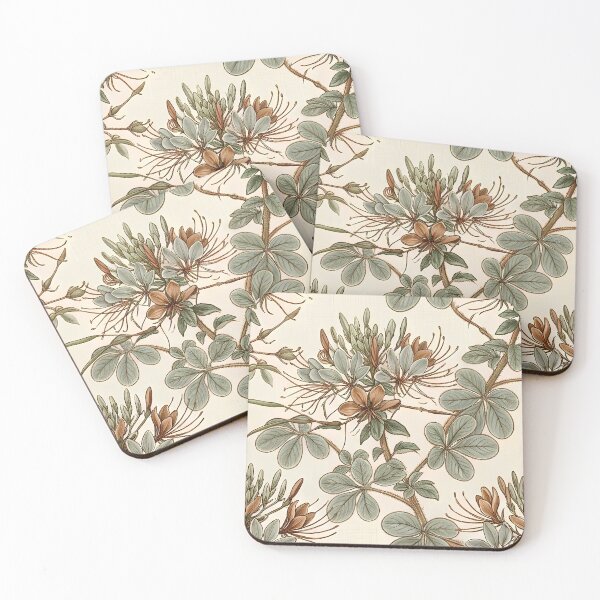 Item preview, Antique Spider Flower Botanical Etching Pattern designed and sold by Studio BC.