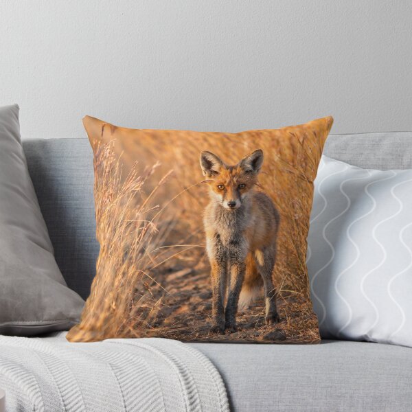 Item preview, Young Red Fox in Golden Meadow Grass designed and sold by Medve Photography & Design.