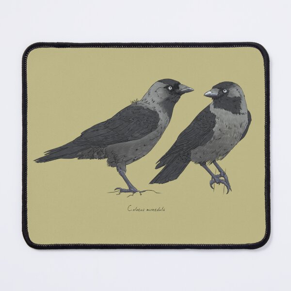 Item preview, Western Jackdaw designed and sold by Luzeilustración.