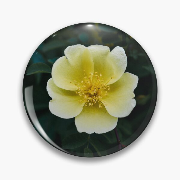 Item preview, Yellow Rose designed and sold by Eidetic Photos.