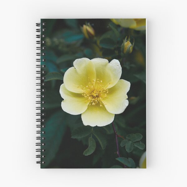 Item preview, Yellow Rose designed and sold by Eidetic Photos.