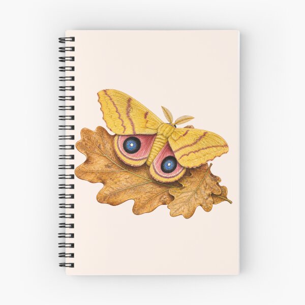 Item preview, Io Moth on Autumn Oak Leaves Nature Study designed and sold by BloomStudio1.