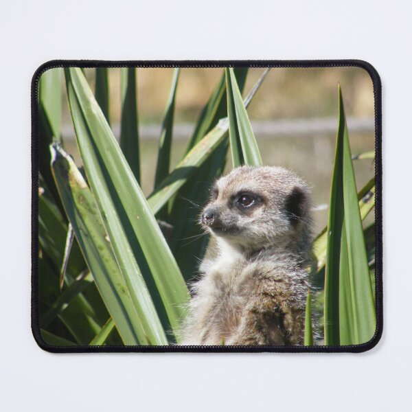 Item preview, Peeking Through the Grass designed and sold by Astute-Artio-Photography.