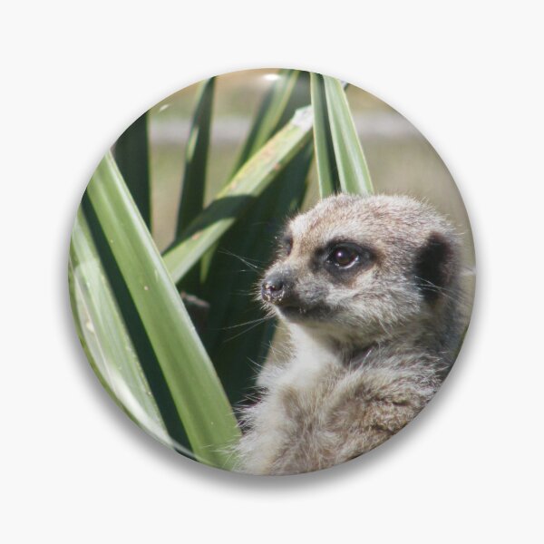 Item preview, Peeking Through the Grass designed and sold by Astute-Artio-Photography.