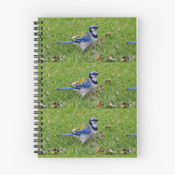 Item preview, Blue Jay on Green Grass designed and sold by SquaresArt.