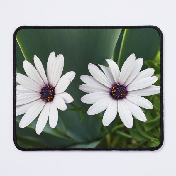 Item preview, White Daisies with Violet Hearts designed and sold by Kimberly Palmer.