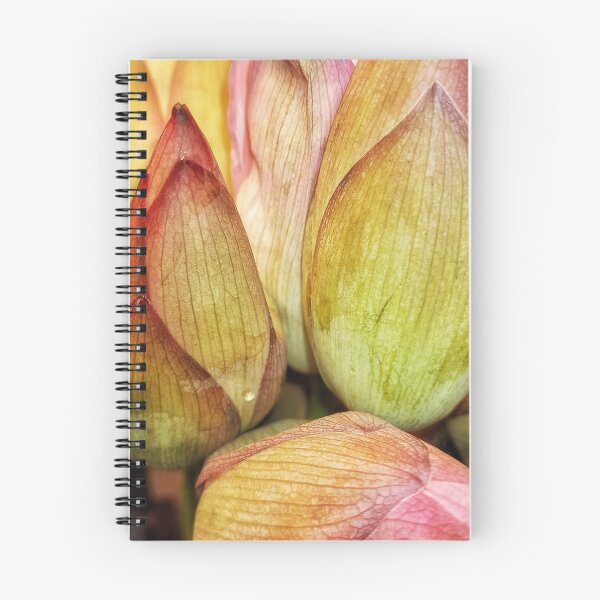 Item preview, Blossom of lotus flower designed and sold by AWADHESH  CHAURASIA.
