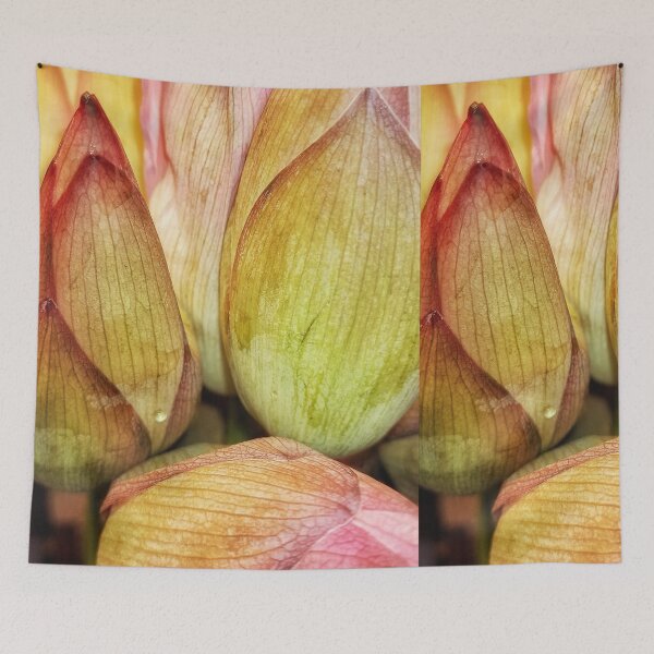 Item preview, Blossom of lotus flower designed and sold by AWADHESH  CHAURASIA.