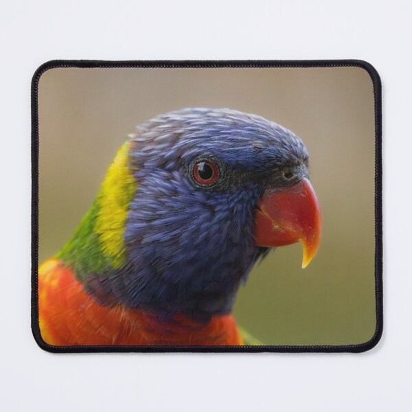 Item preview, Rainbow lorikeet portrait. designed and sold by FallenTrickster.
