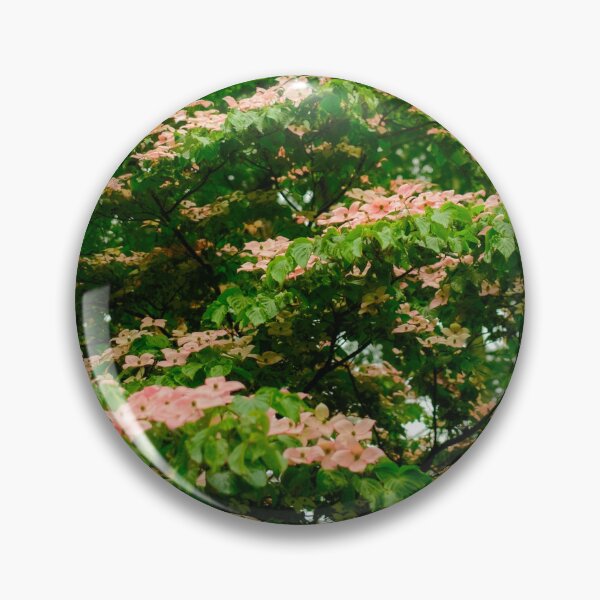 Item preview, Pink Kousa Dogwood in Yamanashi Prefecture, Japan designed and sold by Pix4Japan.