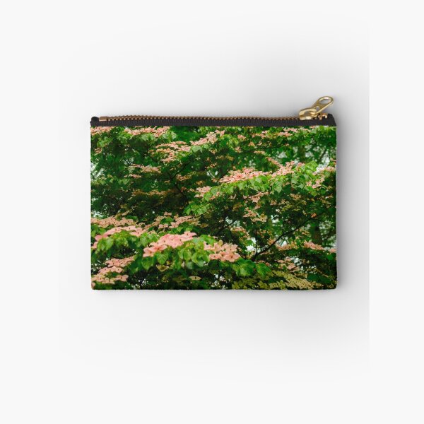 Item preview, Pink Kousa Dogwood in Yamanashi Prefecture, Japan designed and sold by Pix4Japan.