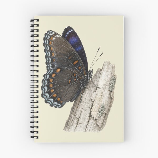 Item preview, Red-spotted Purple on Weathered Bark Nature Study designed and sold by BloomStudio1.