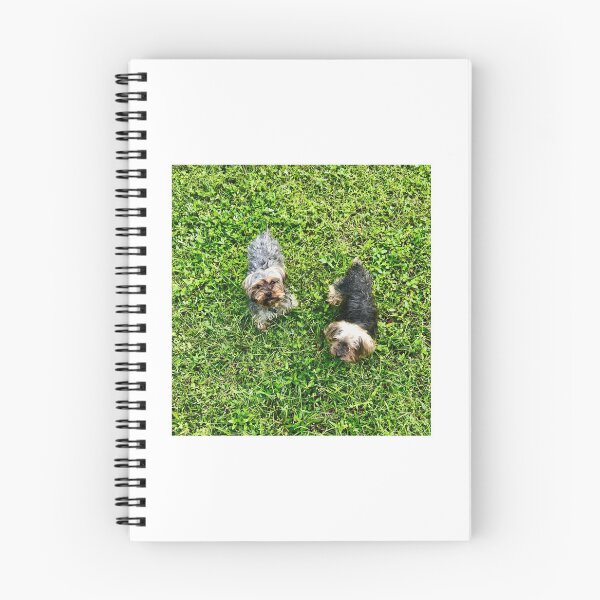 Item preview, Yorkshire Terriers en el césped designed and sold by ROSENDE ART HOUSE.