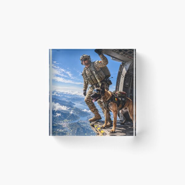Item preview, Belgian Airborne Malinois – Military K9 Ready to Jump designed and sold by Redcon-fantasy.