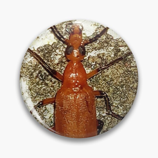 Item preview, Vibrant Red Soldier Beetle Macro Photography designed and sold by AWADHESH  CHAURASIA.