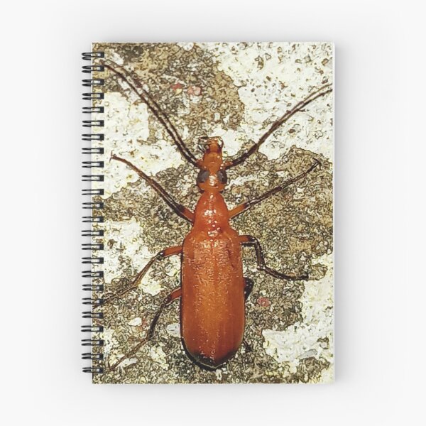 Item preview, Vibrant Red Soldier Beetle Macro Photography designed and sold by AWADHESH  CHAURASIA.