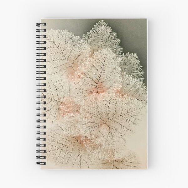 Item preview, Fern Frond Botanical Organic Modern Neutral Minimalist designed and sold by scicilysimonee.