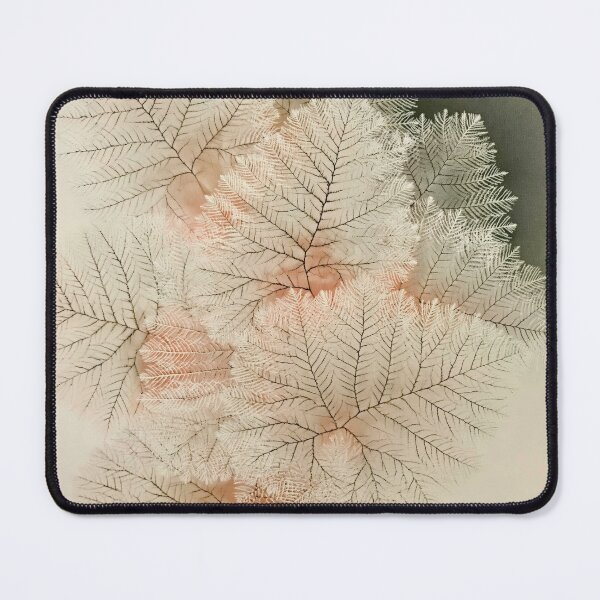 Item preview, Fern Frond Botanical Organic Modern Neutral Minimalist designed and sold by scicilysimonee.