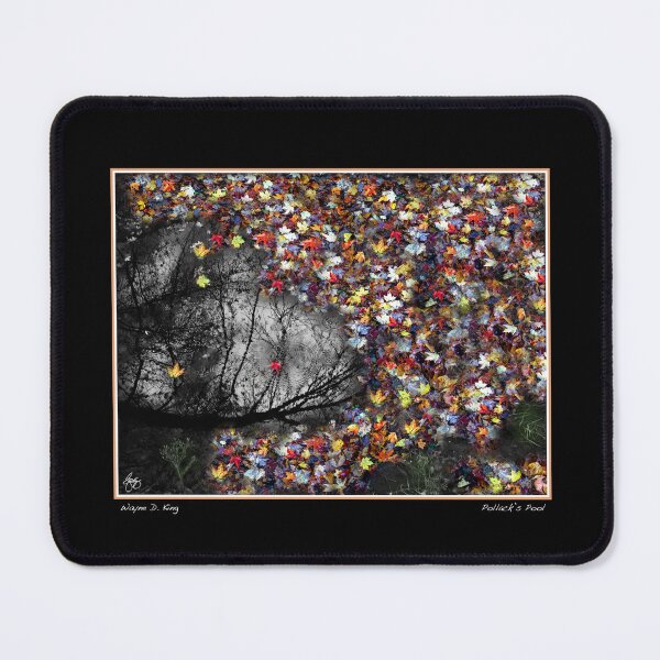 Item preview, Pollack's Pool Fine Art Poster designed and sold by Wayne King.