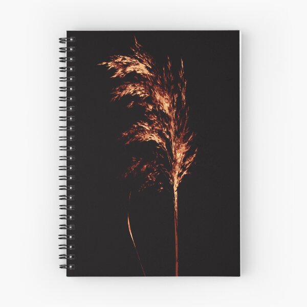 Item preview, Copper Reed – Botanical Art designed and sold by SulkaCreative.