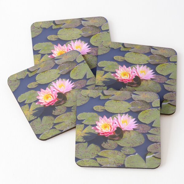 Item preview, Water Lillies  designed and sold by Creek Nymph Photography.