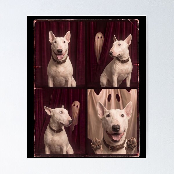 Item preview, Funny Bull Terrier Halloween Ghost Dog designed and sold by d247.