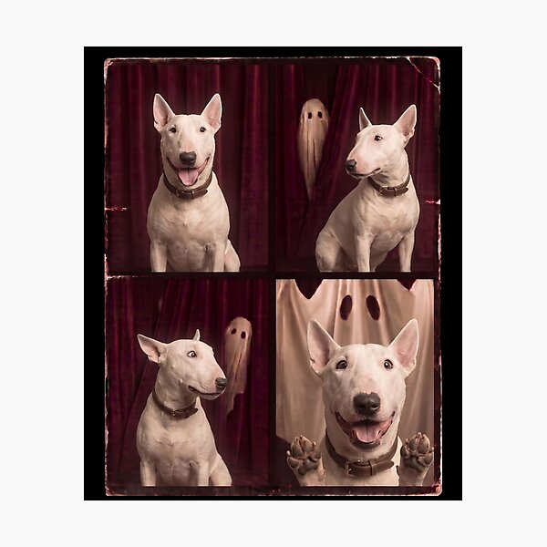 Item preview, Funny Bull Terrier Halloween Ghost Dog designed and sold by d247.