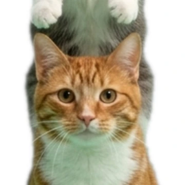 Artwork thumbnail, Cat Stack by InkPawDesign