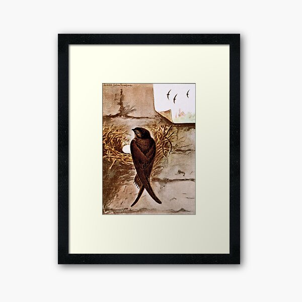 Item preview, Chimney Swift designed and sold by goldenmenagerie.