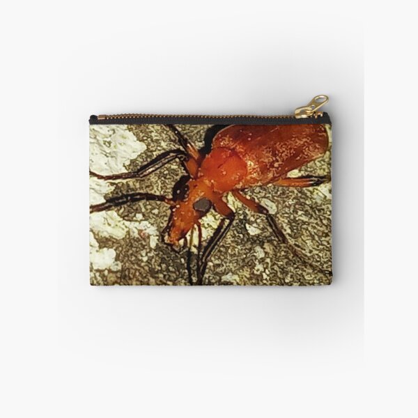 Item preview, Insect macro photography designed and sold by AWADHESH  CHAURASIA.