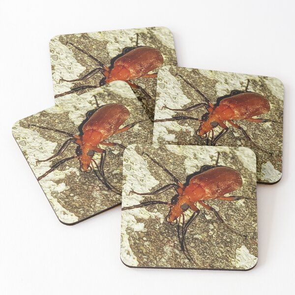 Item preview, Insect macro photography designed and sold by AWADHESH  CHAURASIA.