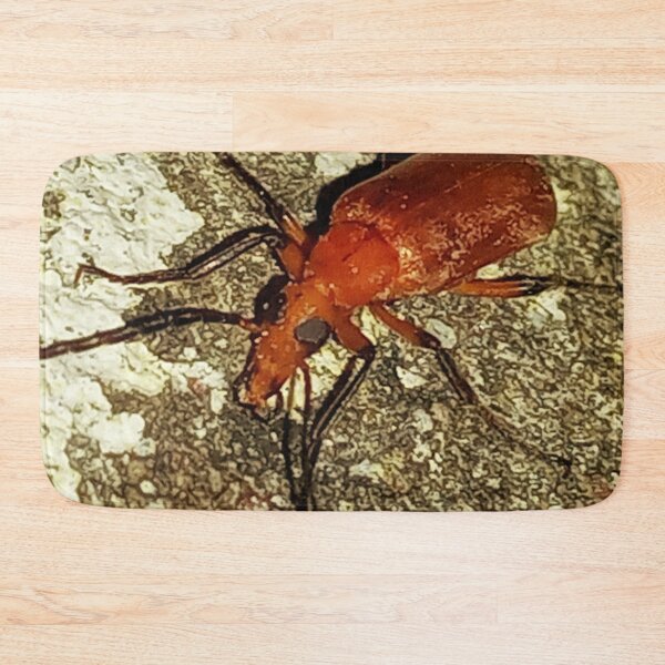 Item preview, Insect macro photography designed and sold by AWADHESH  CHAURASIA.