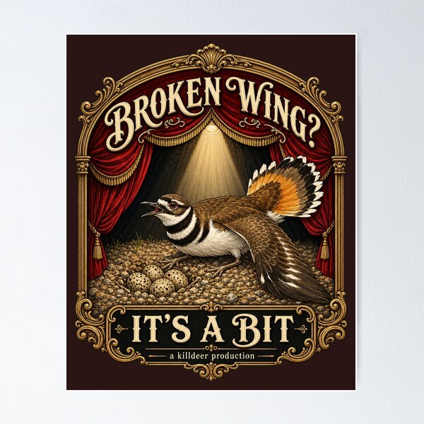 Item preview, Killdeer Broken Wing Act Funny Theater Stage Bird Drama designed and sold by shifumart.
